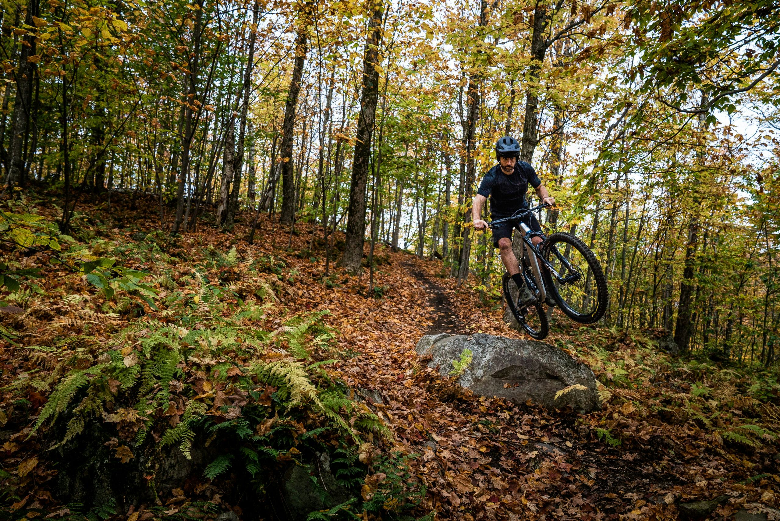 “Our projects focus on both high performance downhill bikes and typical Dutch commuter bikes, so a very wide range."