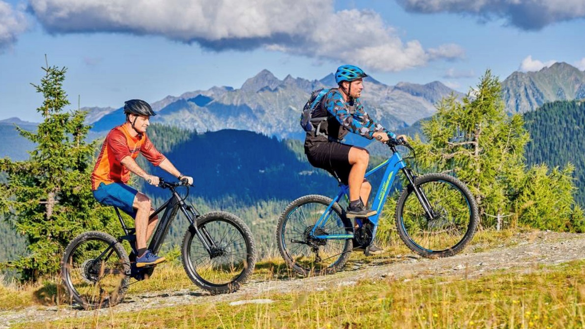 Fischer mountain online bike