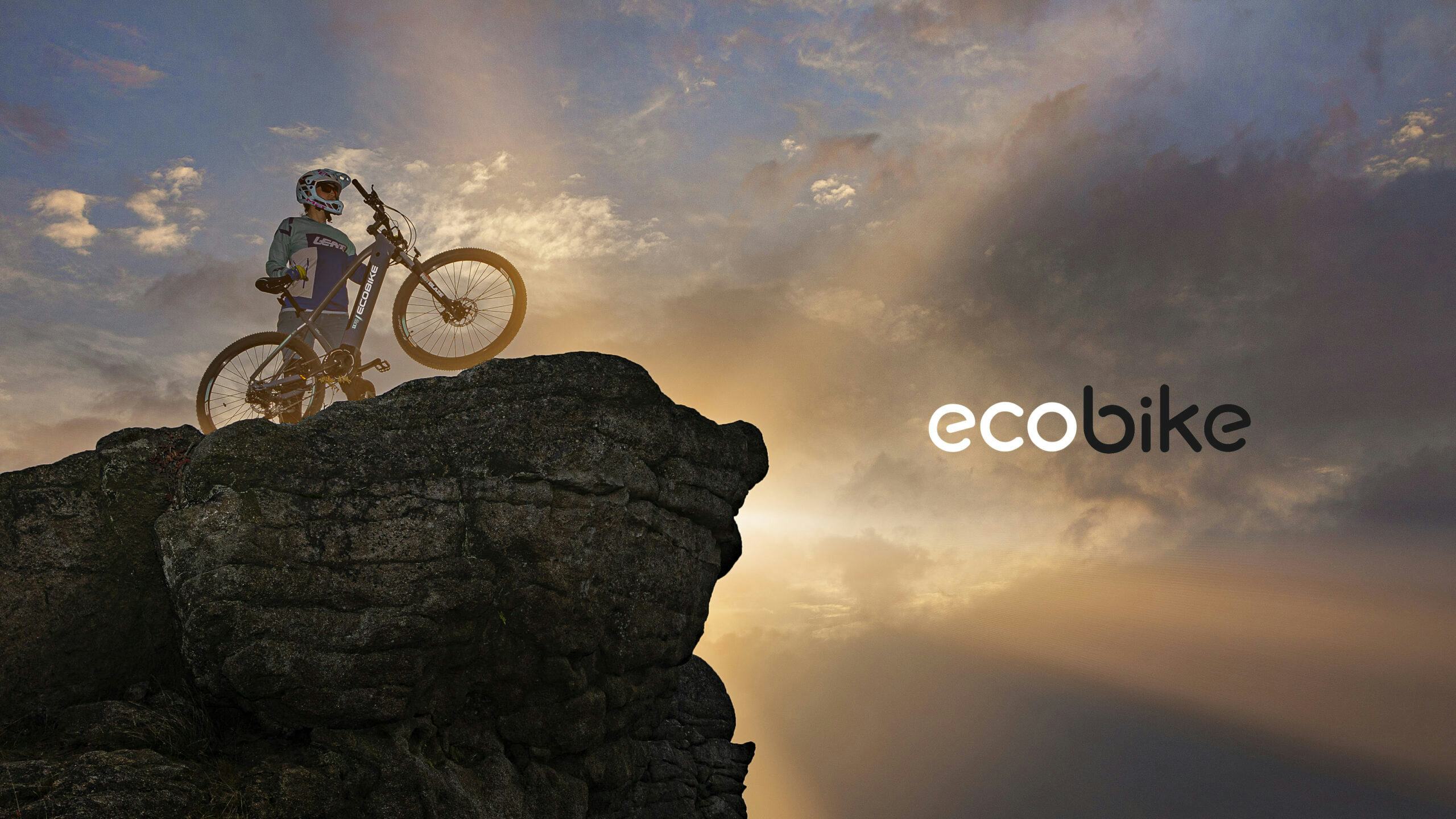 Ecobike: Poland’s e-bike manufacturing experience
