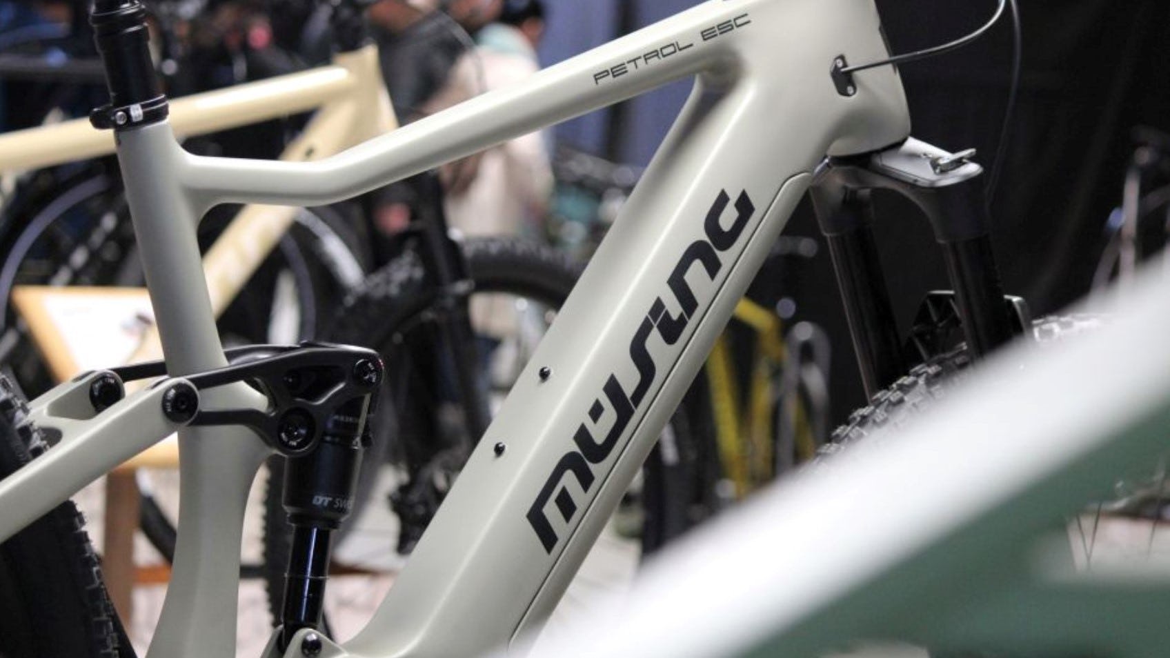 Müsing在德國客製年產量約達8,000輛。照片來源/Müsing