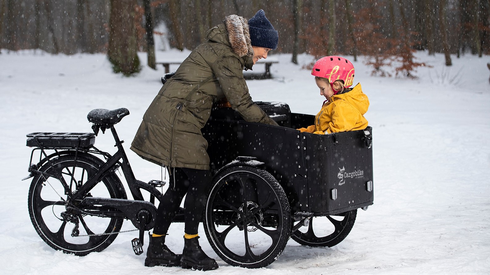 Swedish cargo bike online