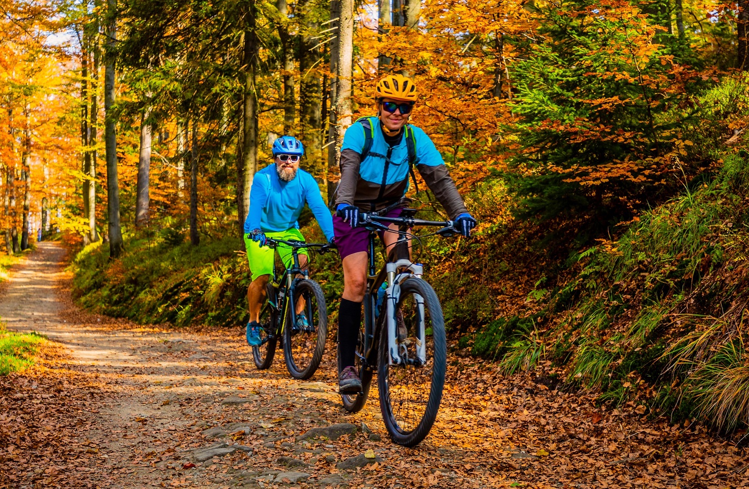The right to enter the forest by bicycle in Germany remains largely untouched so far. – Photo Shutterstock