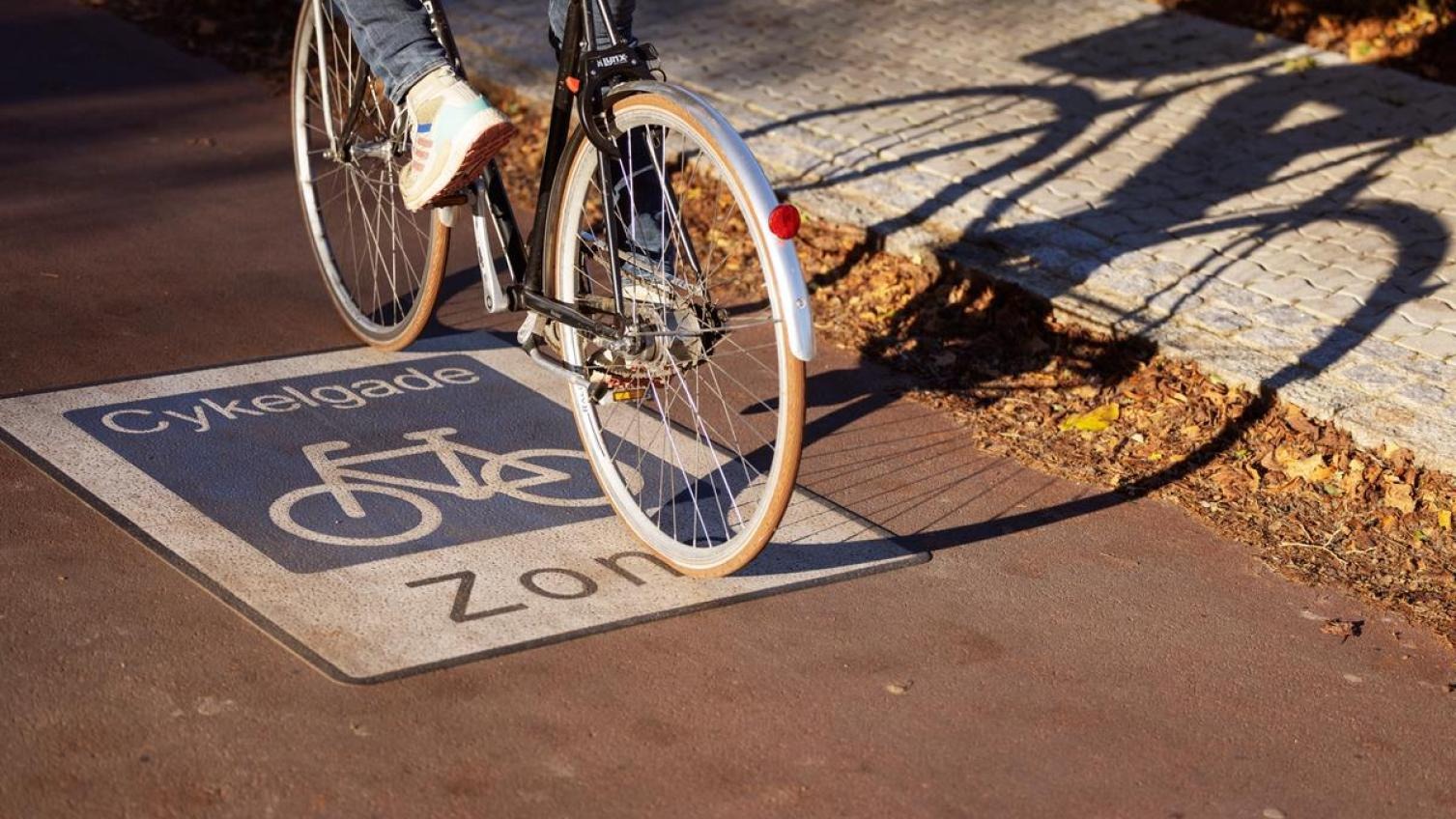 Electric bicycles are quickly becoming a regular sight on Danish bicycle paths as the e-bike market share experiences rapid growth. – Photo National Knowledge Centre for Cycling Promotion of Denmark