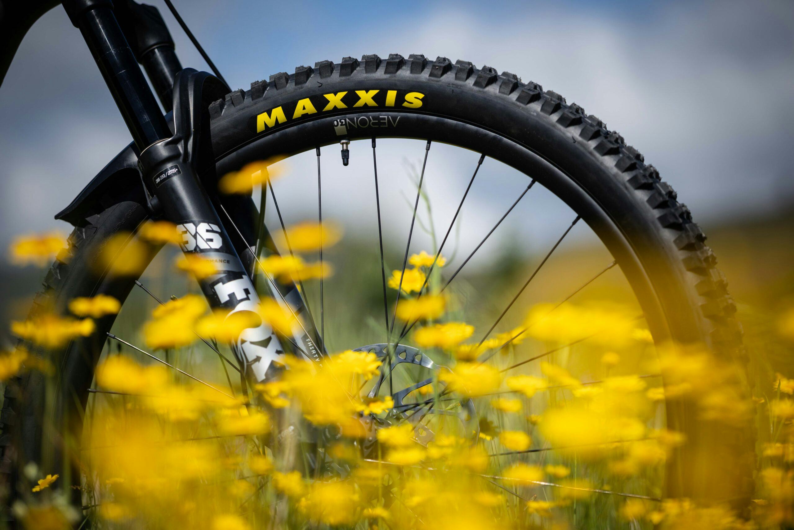 Rodi introduces Aeron: a complete wheel system