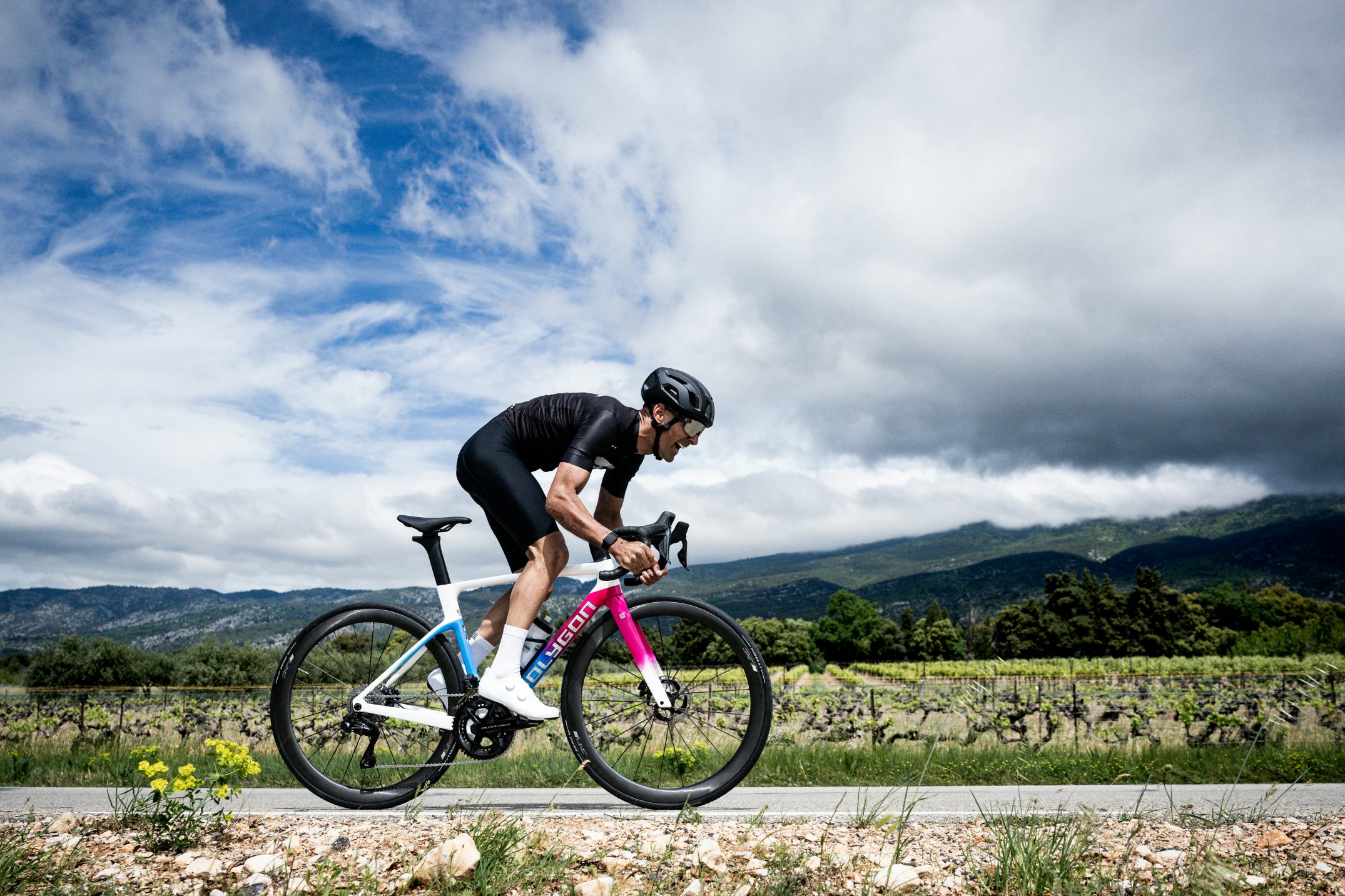 Polygon strengthens ties in Europe with streamlined distribution