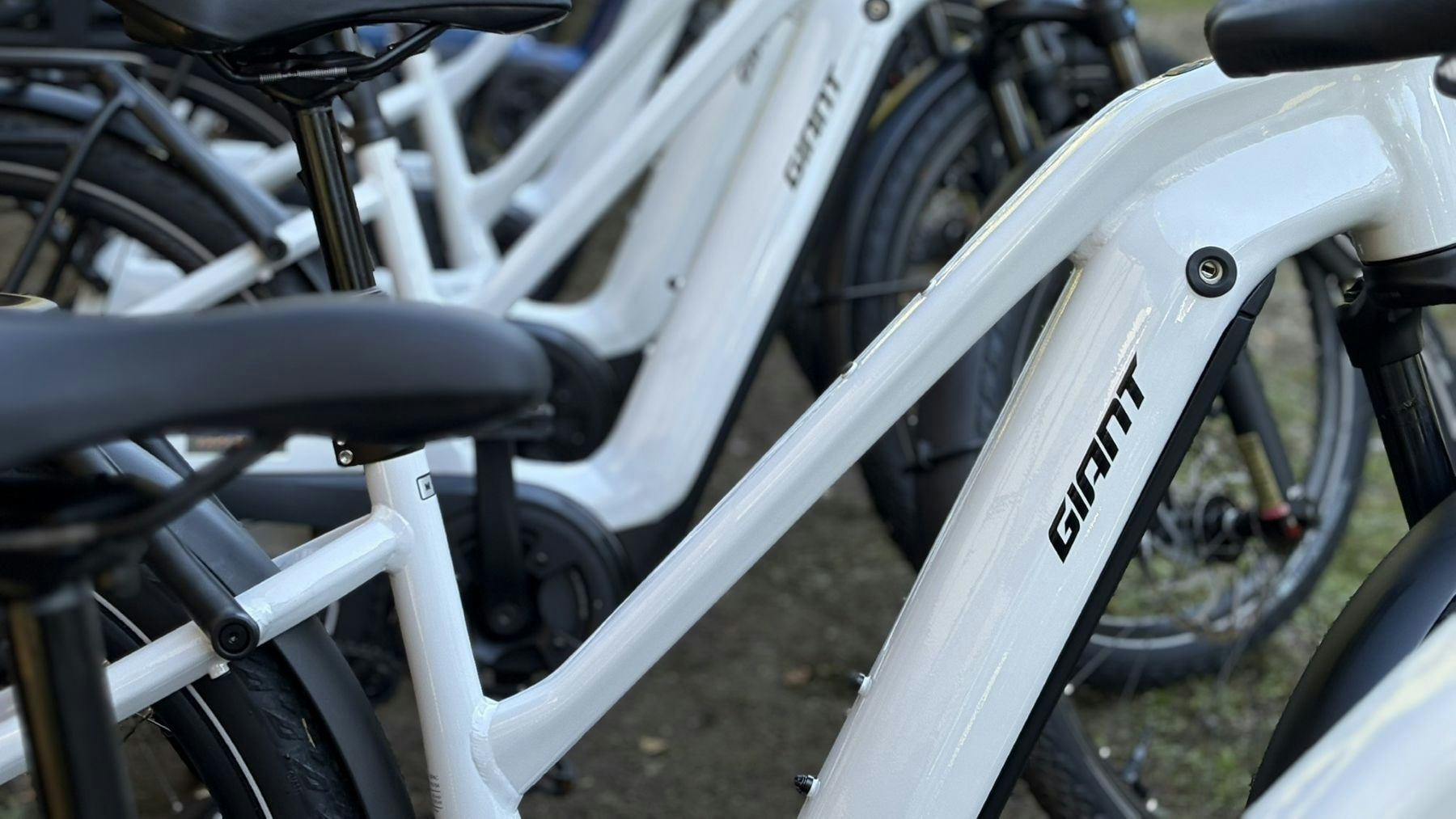 Giant Group Q3財報顯示，電動自行車市場出現良好跡象。照片來源／Bike Europe