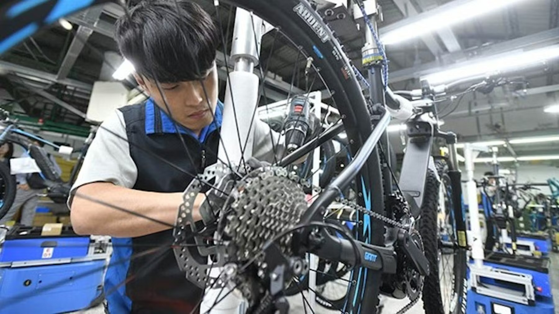 Giant表示，OEM業務出現回穩跡象。圖／Giant