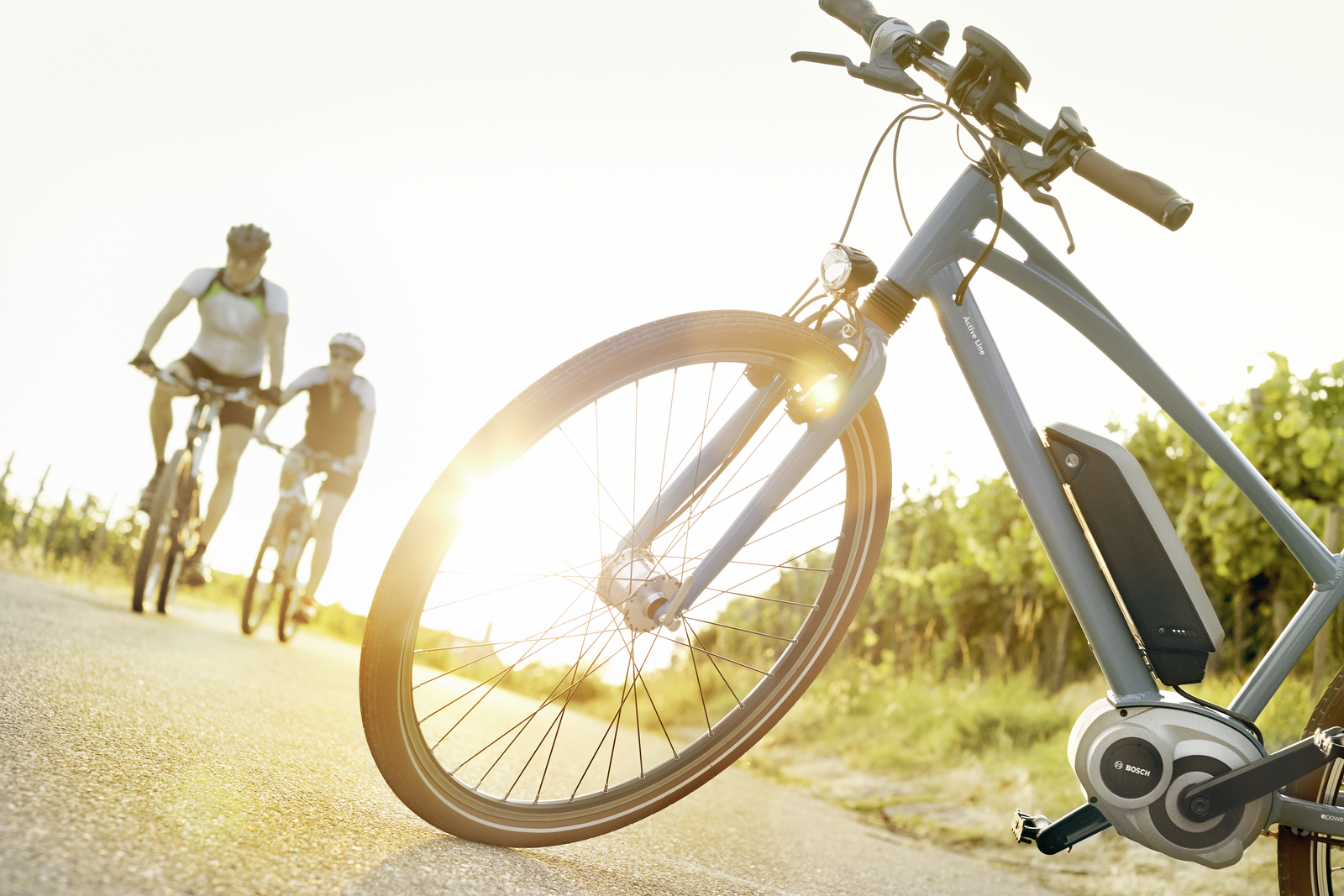 根據自行車產業與經銷商協會Rai/BOVAG的調查報告指出，2013年荷蘭自行車的銷售僅略為下滑2.5%。但電動自行車的銷售則大幅成長了9.4%達19.2萬輛。– Photo Bosch