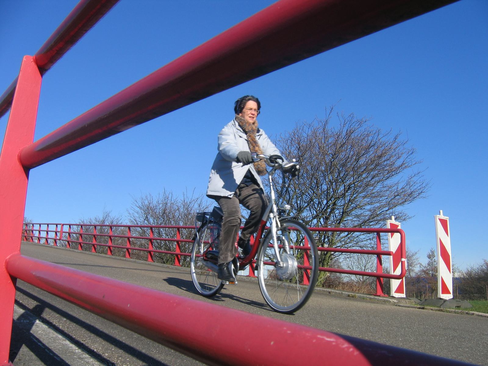 電動自行車所行駛的總里程數約佔全體行走里程的12%。根據2013年調查，荷蘭人口中約有10%擁有一輛電動自行車。 – Photo Tweewieler