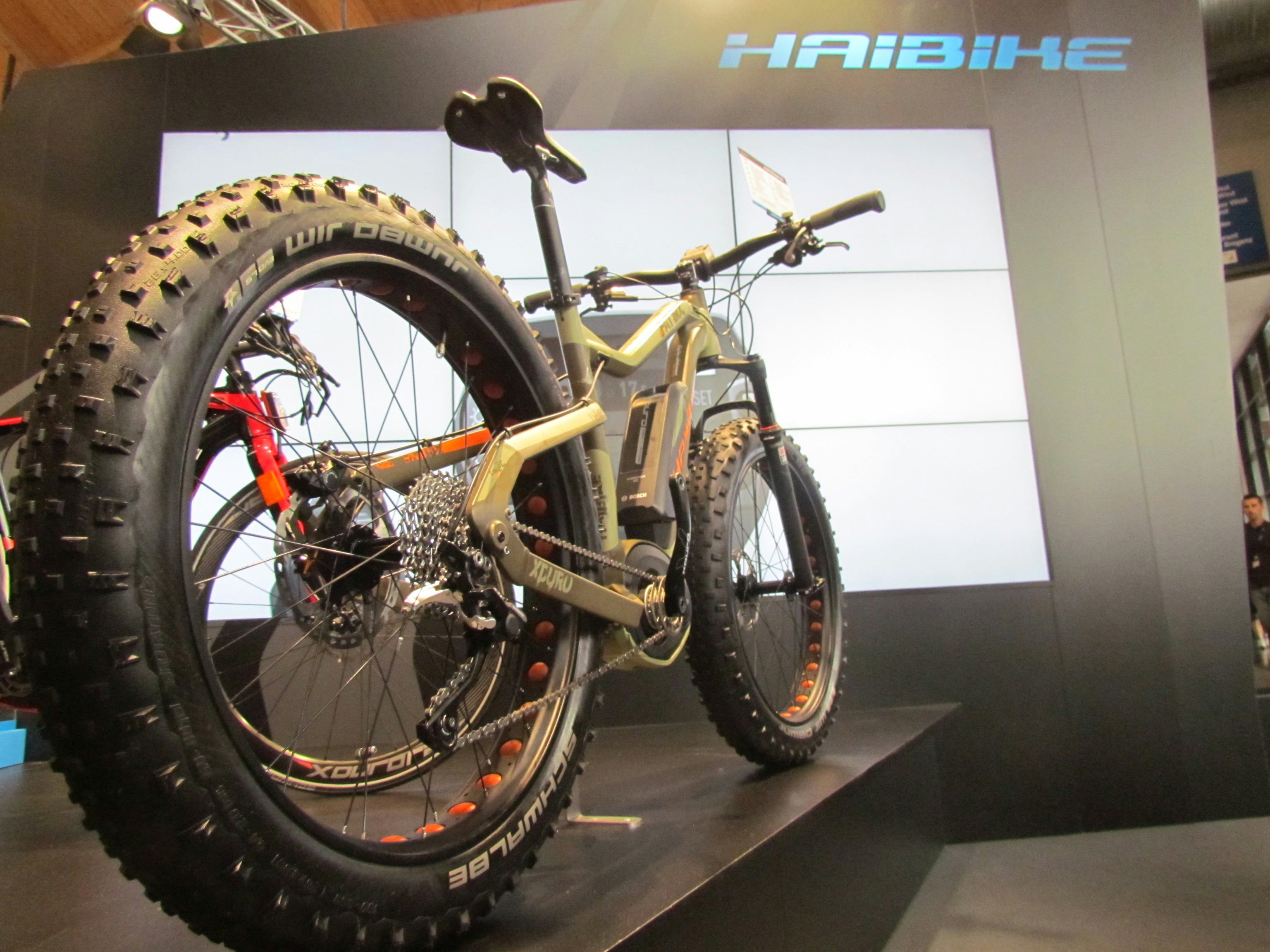 Haibike兩年前在歐洲自行車展上首次推出的電動登山車已經成為暢銷的熱門商品。