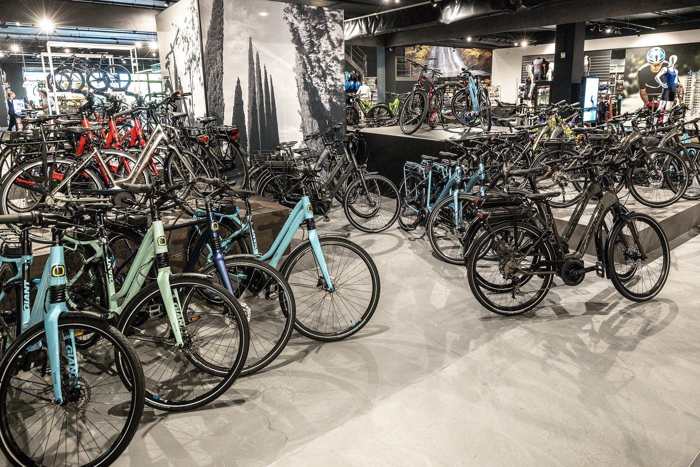 In the past 5 months, the market volume increase by 12% to 149,000 e-bikes. – Photo Bike Europe 