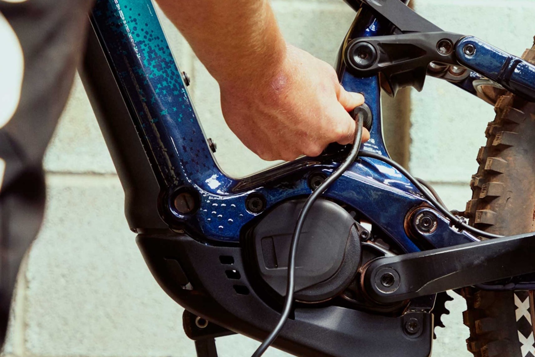 Dorel Sports同其他業界同行也面臨特定型號車款缺貨的情況。照片來源／Dorel Inc.