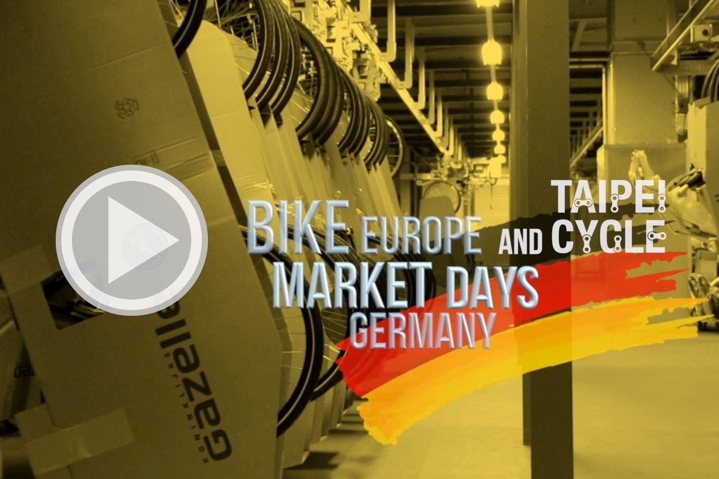German experts look ahead to 2021 e-bike market