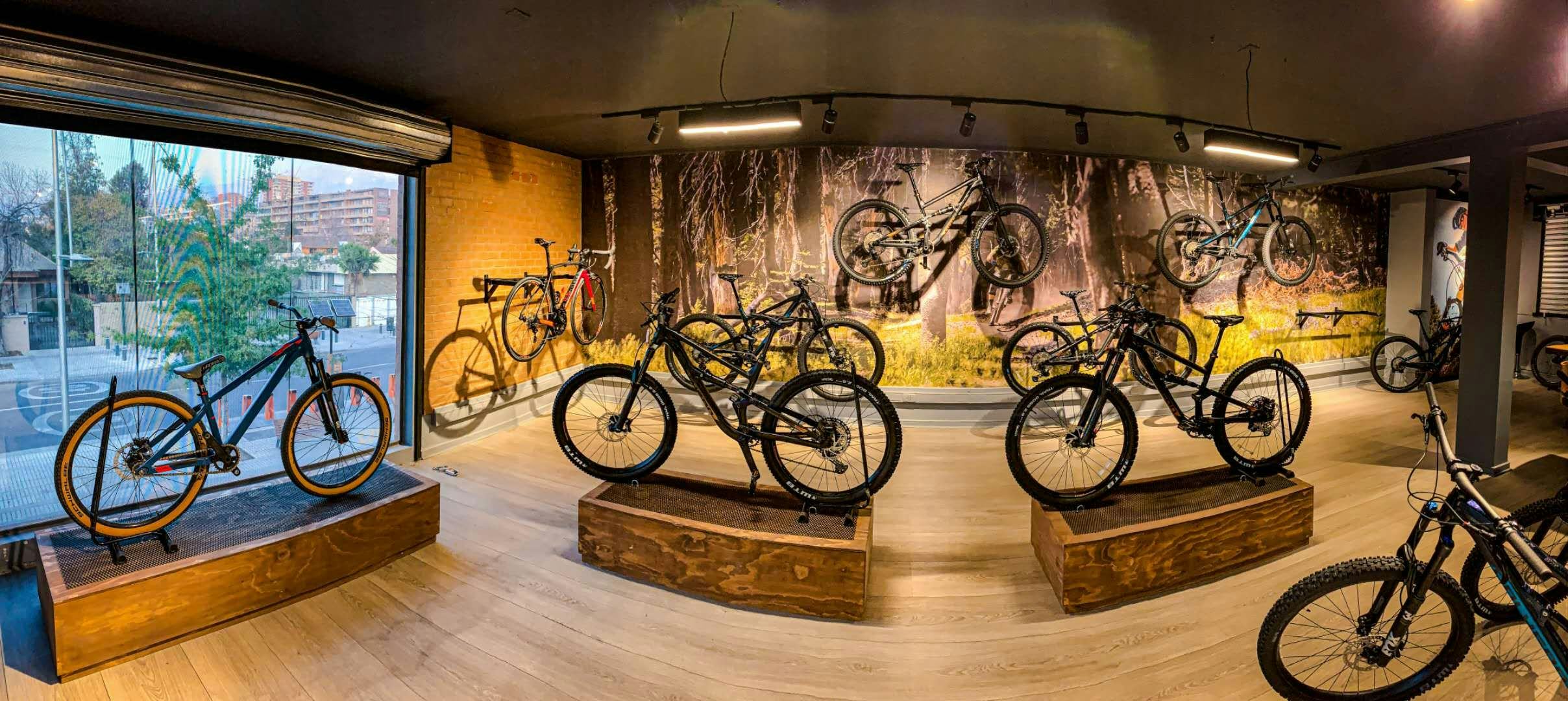 Agility as a recipe for growth - a case study of Polygon Bike