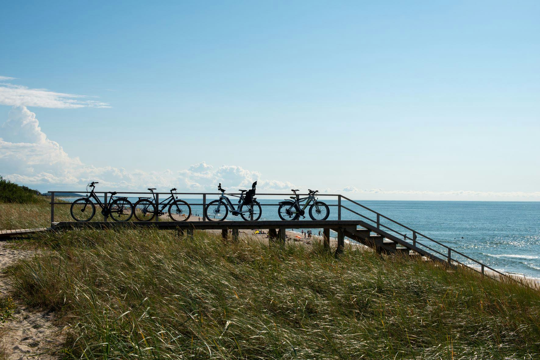 The silhouette of bikes standing in a row on the Baltic Sea coast. 